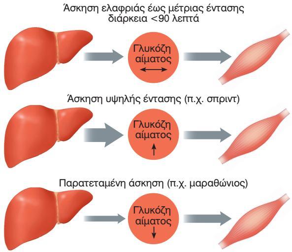 Ρύθμιση της γλυκόζης αίματος κατά την άσκηση: ο ρόλος της έντασης και της διάρκειας Η απελευθερωση γλυκόζης από το ήπαρ στο αίμα, κανονικά αυξάνεται για να συμβαδίζει με την αύξηση της κατανάλωσης