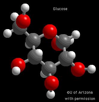 Βασικά Ενεργειακά Υποστρώματα Στην Άσκηση Υδατάνθρακες ( CHO): Γλυκόζη πλάσματος Μυϊκό γλυκογόνο Λιπίδια: Λιπαρά οξέα πλάσματος