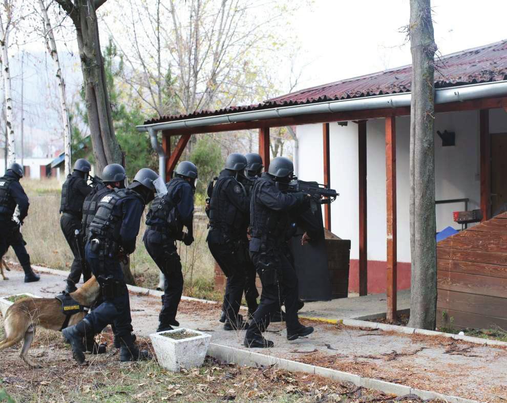 PARANDALIMI DHE LUFTIMI I TERRORIZMIT, EKSTREMIZMIT TË DHUNSHËM DHE RADIKALIZMIT Në përpjekje për të luftuar kriminalitetin e të gjitha formave, rëndësi e veçantë i është kushtuar luftës kundër