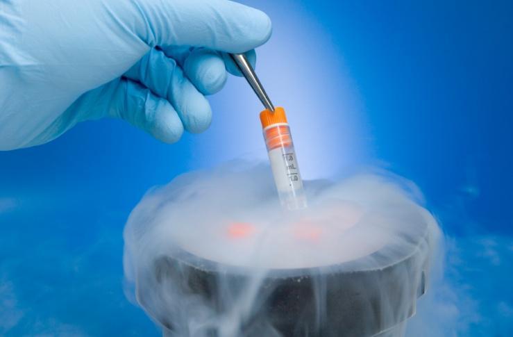 σπέρματος/εμβρύων Εμβρυομεταφορά In vitro γονιμοποίηση Εργαλεία Mouse genome project Εμβρυικά
