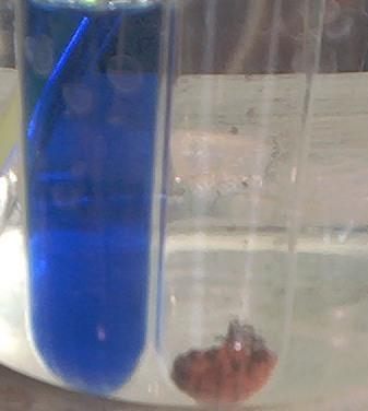 5H 2 O Fehling B: υδατικό διάλυμα KOH ή NaOH και KNaC 4 H