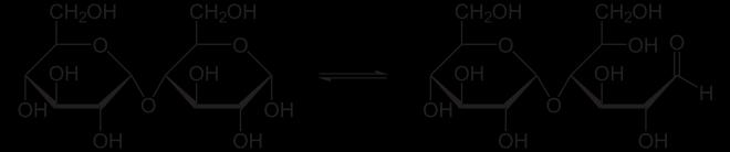 Equilibrium between cyclic and