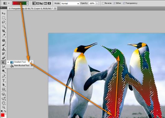 Photoshop Επεξεργασία Φωτογραφίας 5.2.6. Χρωματισμός Ντεγκραντέ και εργαλείο Gradient Μπορείτε επίσης να εφαρμόσετε σε μια περιοχή της εικόνας χρωματισμό ντεγκραντέ.