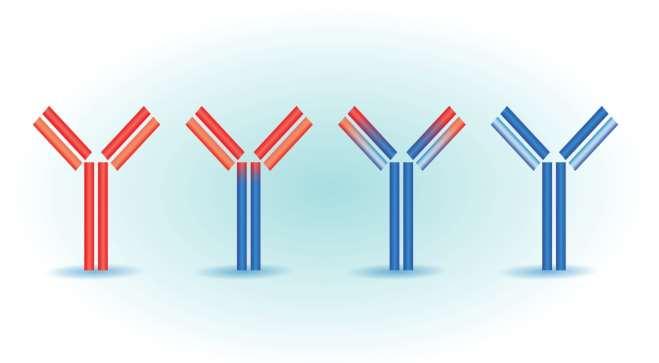 PCSK9 inhibitors (monoclonal antibodies) Reduction LDL-C by 55-60%