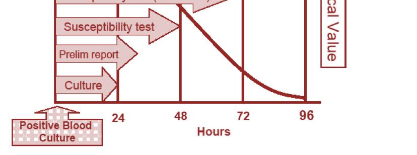 Review of Precision