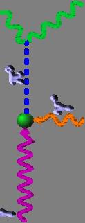 Primakoff Reaction dσ/dθ, µbarn/rad