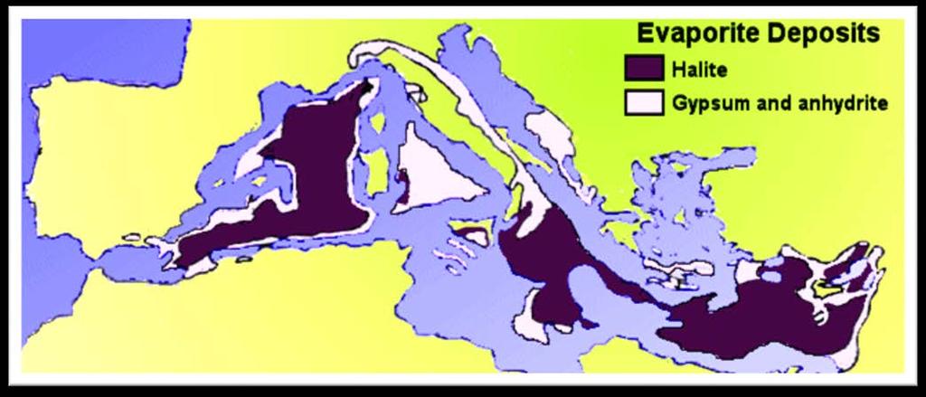 Το Ανώτερο Μειόκαινο μετέβαλε ριζικά τη χλωρίδα και πανίδα της Μεσογείου, λόγω των ραγδαίων γεωλογικών και κλιματικών αλλαγών που επέφερε.