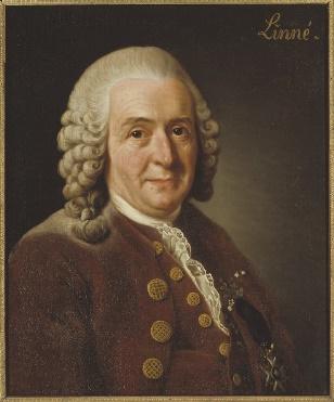 2. ιστορικά Α. Εποχή των εξερευνήσεων: Carl Linnaeus, στα μέσα του 18ου αιώνα, ξεκίνησε την ταξινόμηση των οργανισμών με το ξεκίνημα των εξερευνήσεων.