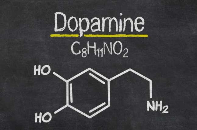 When we engage in habits or tasks that benefit us, dopamine is released.