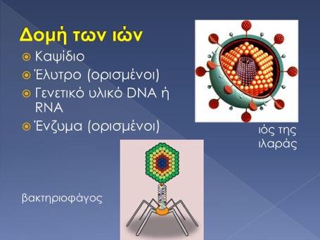 Ιοί Είναι ο µικρότερος γνωστός µ.ο. που δρα µολύνοντας τα κύτταρα ε ν ό ς ο ρ γ α ν ι σ µ ο ύ, ενσωµατώνοντας το γενετικό του υλικό στο γονιδίωµα αυτών χ ρ η σ ι µ ο π ο ι ώ ν τ α ς γ ι α τ ο ν