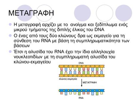 ΓΟΝΙΔΙΑΚΗ