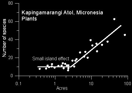 3. Φαινόμενο μικρού νησιού (small island effect SIE) Οι MacArthur & Wilson (1967), με βάση τη μελέτη του Niering (1963) στα νησιά Kapingamarangi της Μικρονησίας, επεσήμαναν ότι οι σχέσεις αριθμού