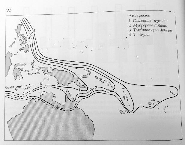 4. Εγκιβωτισμός (nestedness) Τι επηρεάζει τον εγκιβωτισμό; γεωγραφία του νησιού αρχιπελάγους ετερογένεια τοπικές συνθήκες βιολογία