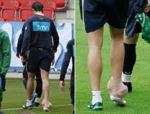 malanga et al Injuries of the Foot and Ankle in