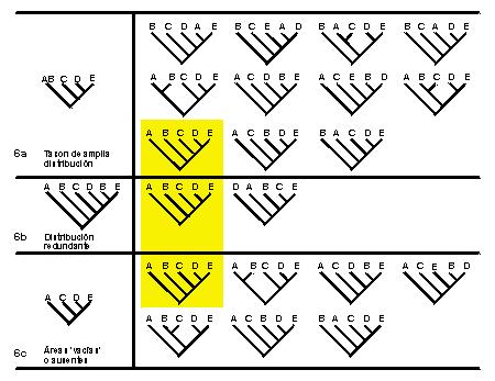 Ανϊλυςη Συνιςτωςών - Component Analysis (Nelson & Platnick 1981) Εύρεςη ςυμφωνύασ μεταξύ ςυνιςτωςών ό φυλογενετικών τμημϊτων