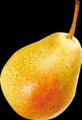 Peach Ροδάκινο