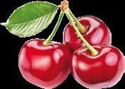 Plum αμάσκηνο 380