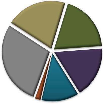Final Budget Fiscal Year 2018-19 Presented for Adoption