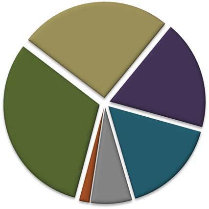State 98,251,987 51% Local 72,594,009 38% Academic