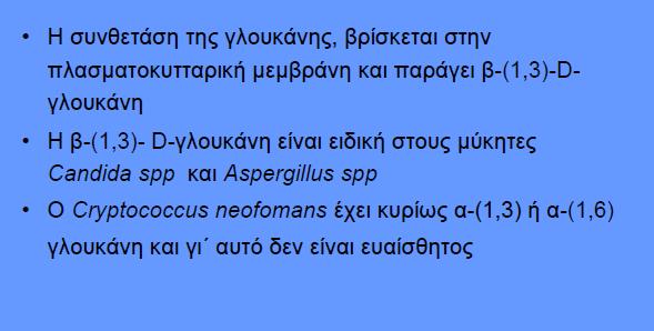 Εχινοκανδίνες - μηχανισμός