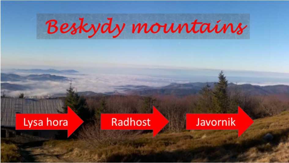 resize images to 80% of original size (final sizes: hight x width: 1 st 15,25x11,44, 2 nd 14,52x21,68, 3 rd 15,23x8,58) align all the images on a slide to the right and down from a document Sources.
