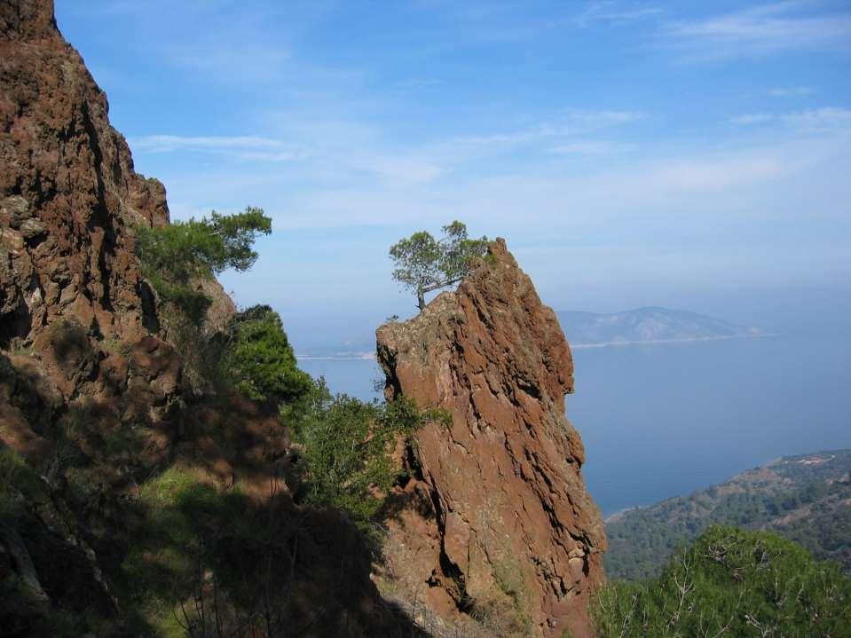 Ενδημικά ενός