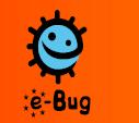 e-bug Partners Iceland Norway Sweden DK Finland ES LV LT Russia UK NL Poland Belarus BE Germany CZ SK Ukraine France AU Hungary MD CH SL HR Romania BA SE Bulgaria MA