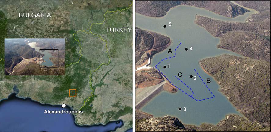 Α. μεταβίβαση της σε ανάλογα έργα 2008 Κατασκευή έργου και