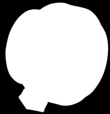 100 400 60 2400 0,30 70 1 107,00 007-0097 Φ.125 450 61 2400 0,30 70 1 109,00 007-0098 Φ.