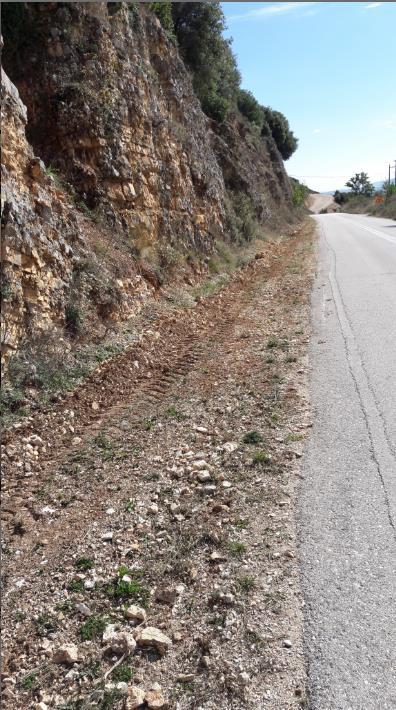 ορισμένα σημεία του οδικού δικτύου διαπιστώθηκαν μεγαλύτερης έκτασης κατολισθήσεις, χωρίς όμως εμφανή αποτύπωση λόγω του ότι τα υλικά των κατολισθήσεων είχαν συλλεχθεί αποκαθιστώντας την διατομή του