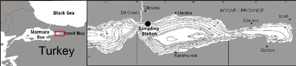 ASSESSMENT OF CONSECUTIVE PLANKTON BLOOMS ON MARCH AND APRIL 2014 IN IZMIT BAY (THE MARMARA SEA) Ergül, H. A. 1*,Aksan, S. 1,Ipsiroglu, M. 1, Baysal, A.