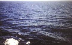 38 Σχ. 3.2γ Δύναμη σε Bf 2. Ταχύτητα ανέμου 4 6 knots. Ύψος κύματος 0,2 0,3 m.