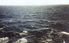 Ταχύτητα ανέμου 22 27 knots. Ύψος κύματος 3 4 m.