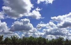 β) Οι στρωματοσωρείτες (Sc, stratocumulus), που έχουν χρώμα γκρίζο και υπόλευκο, με σκούρο χρώμα σε κάποια σημεία τους (σχ. 4.4ζ).