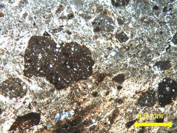 Grog fragment and large chert