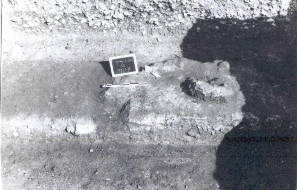 407 Εικ.