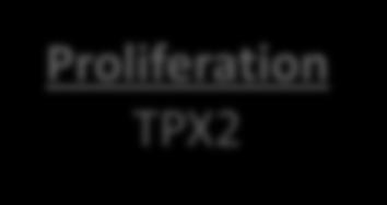 with Worse Outcome Stromal Response BGN COL1A1 SFRP4