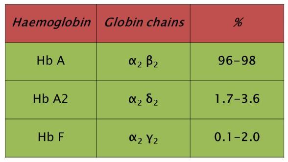 Είδη αιμοσφαιρίνης στον ενήλικα Μέρος της