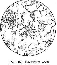 2тәсіл. Сірке қышқылыны ң гомоацетогенді бактерияларымен түзілуі. Бактериялар Cl.aceticum; Cl.