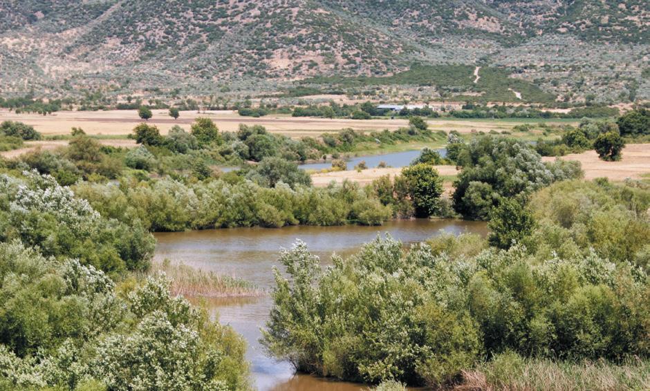 10 Η Συνεισφορά μας στην Προστασία και Διατήρηση του Περιβάλλοντος Το Υδάτινο Αποτύπωμα μας Στην Αυτοκινητόδρομος Αιγαίου αντιλαμβανόμαστε τη σημασία της ορθολογικής χρήσης του νερού για την κάλυψη