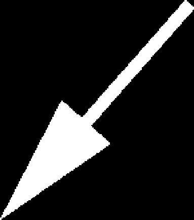 The area bold line, where the arch and body fuse, called neurocentral joint.