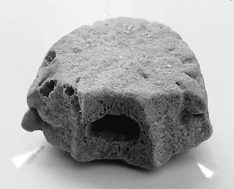 553 Fig. 2 Fig. 3 Table 1 Figure 3.