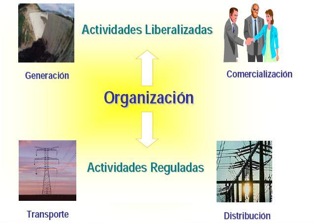 6.2. ORGANIZACIÓN