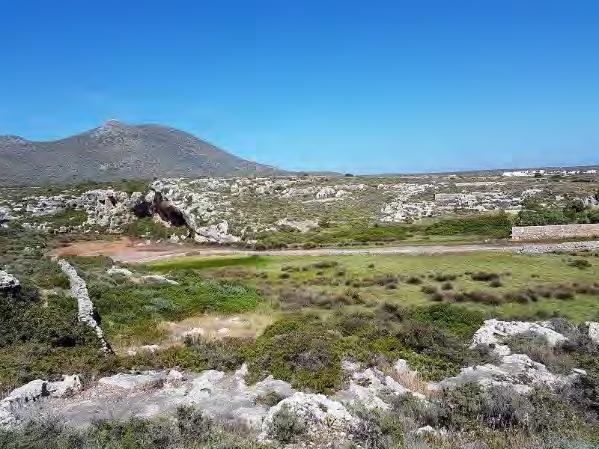 Τύποι οικοτόπων, βλάστηση, χλωρίδα και πανίδα Στον υγρότοπο εκβολή Σκαφίδι απαντώνται στοιχεία από τρεις τύπους υγροτόπων κατά Ramsar,