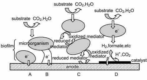 1236 20 2 :A ;B ;C ;D Fig. 2 Identified anodic electron2transfer mechanisms in MFC.