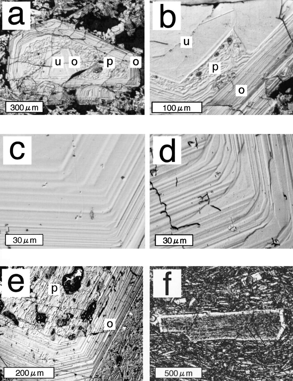 252 ῐ ΐῌῑ ῒ Fig.,. Photographs of plagioclase phenocrysts in the Shirahama group volcanic rocks. Photoes (a)-(e) are NDIC images, and (f), closs-polarized light image.
