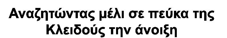 ΠΕΥΚΟΥ ΟΙ