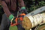 24% 174 χλοοκοπτικη μηχανη 1600w 38cm 1600 χλοοκοπτικη μηχανη 1800w 42cm 1800 Εύκολη