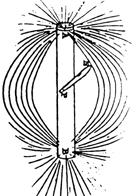 Πολλαπλότητα του spi Η ιδιοπεριστροφή του ηλεκτρονίου (s=1/2) παράγει ένα μαγνητικό πεδίο το οποίο σχετίζεται με μια μαγνητική ροπή μ e.