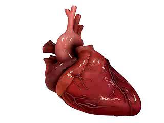 Οι καρδιαγγειακές παθήσεις είναι η πρώτη αιτία